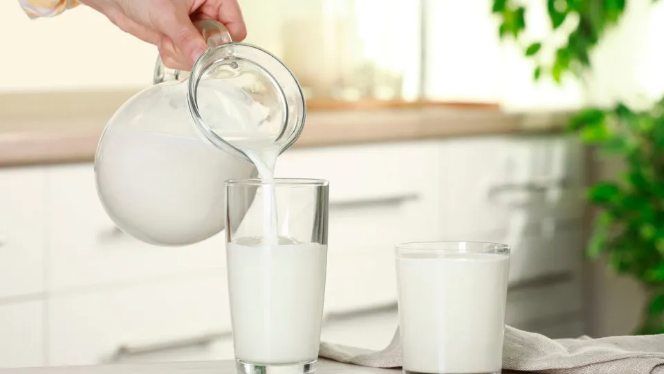 Produtores de leite rejeitam descidas do preço pago ao