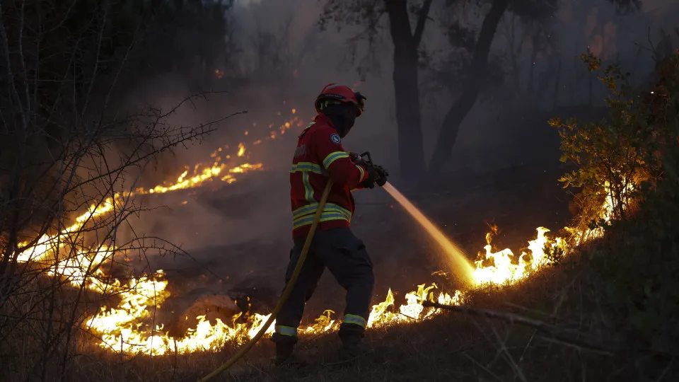 Apoios aos agricultores afetados pelos fogos em 2024 pagos