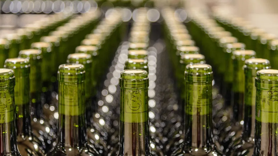 Comissão dos Vinhos Verdes garante colaboração "absoluta"