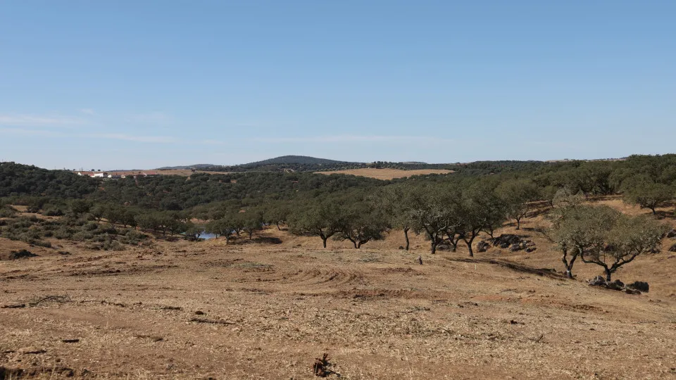 Alentejo e Madeira abaixo do crescimento real do PIB