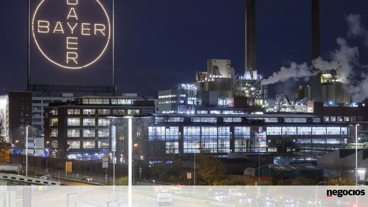 Bolsas europeias negoceiam no verde. Bayer dispara mais de