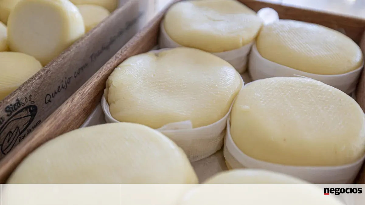 China impõe tarifas provisórias até 42,7% a produtos lácteos