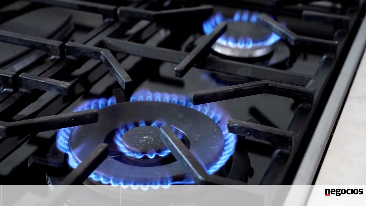 Corrida ao E-Lar faz "curto circuito" na página das