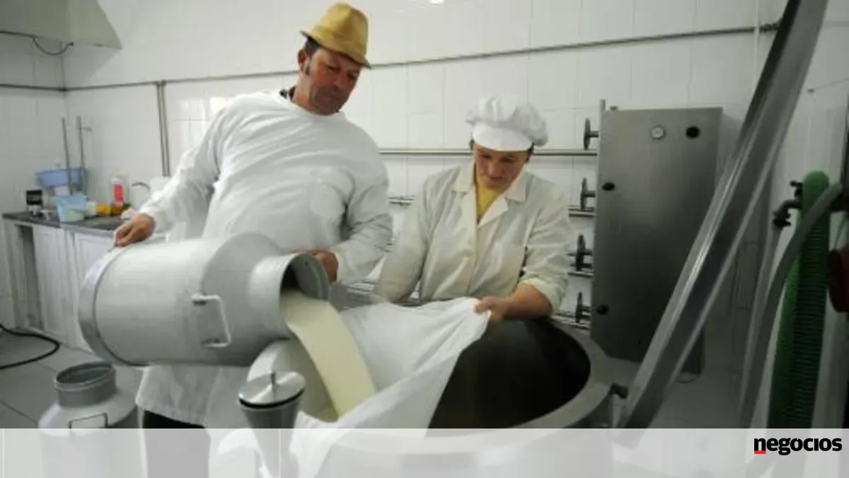 Fileira do leite culpa "imprudências europeias" por crise e