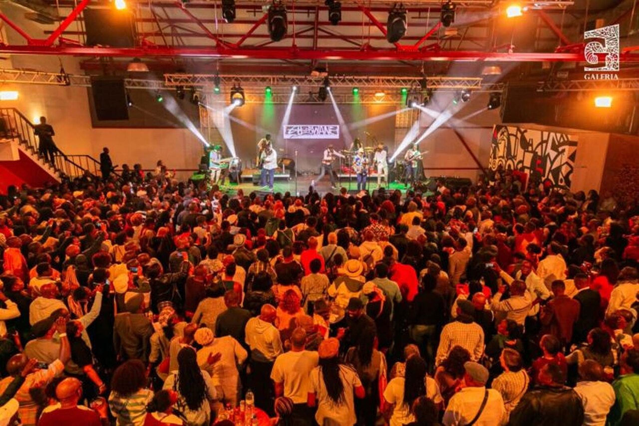 MPDC Promove Concerto Solidário “Sopa Dos Artistas” • Diário