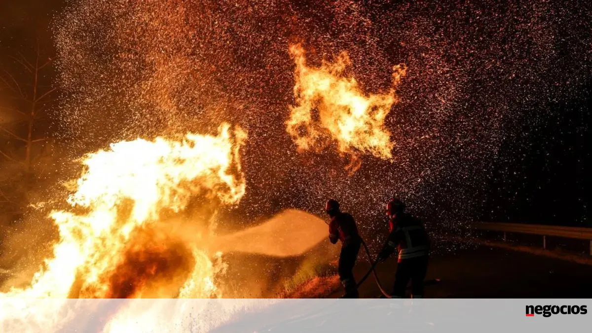 Quercus acusa estatísticas de ocultarem a verdadeira