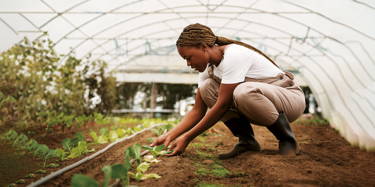 Tendências, Desafios e Oportunidades • Diário Económico