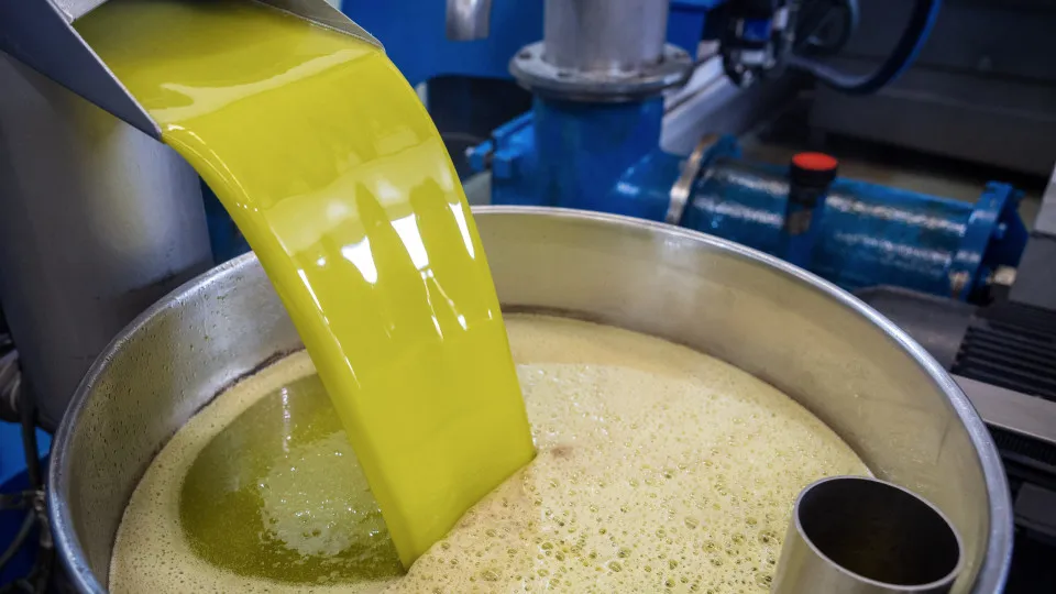 Bruxelas garante que controlos do azeite são eficazes mas