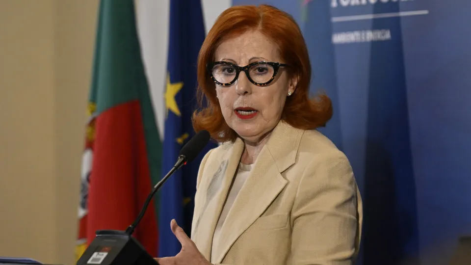 Governo criará zona única para gerir pedidos de ligação à