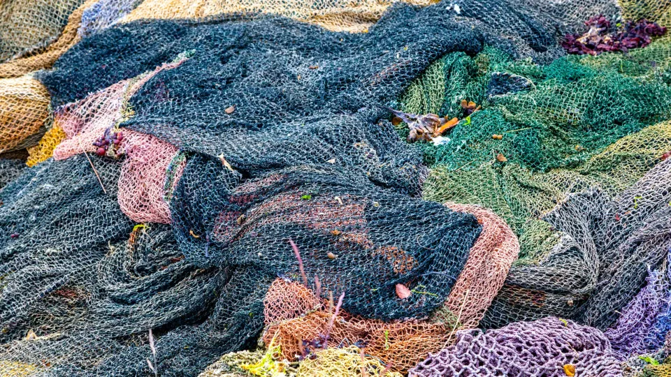 Mau tempo? Federação das Pescas dos Açores pede apoio para