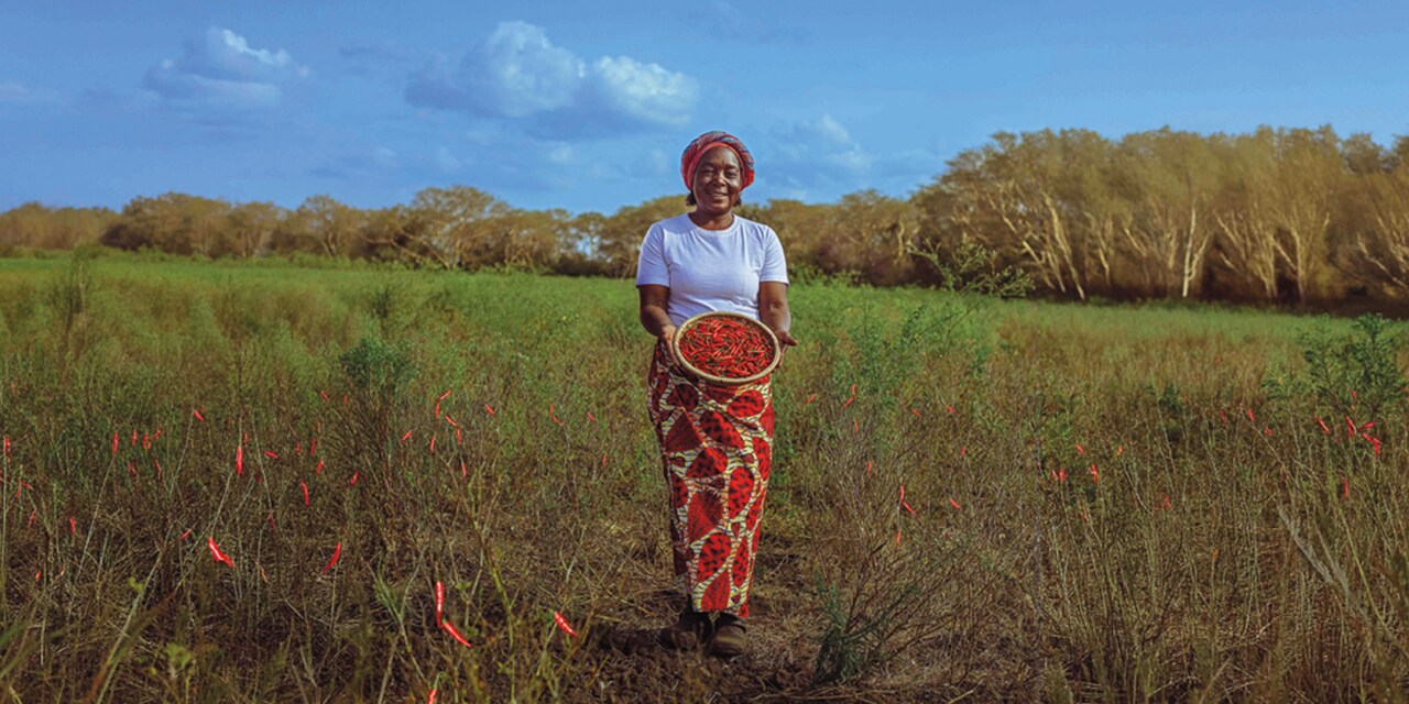 A História de Adelina, Que Fez do Picante a Sua Coragem •