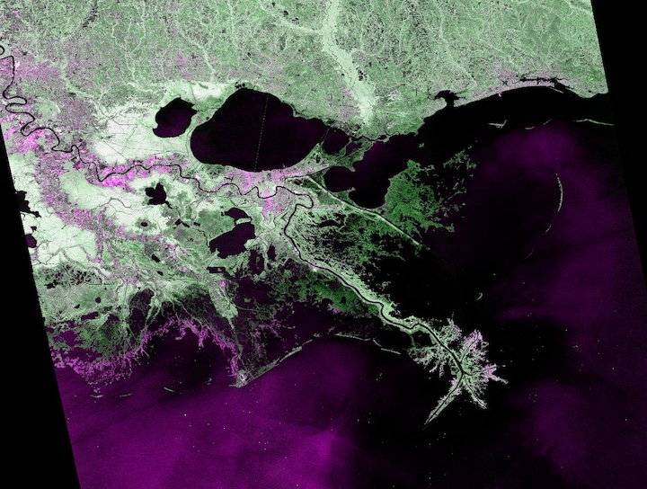 Delta do Rio Mississipi, Luisiana | Dados da Terra da NASA