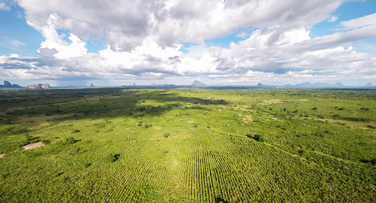 Executivo Quer Reverter Terras Ociosas a Favor do Estado •