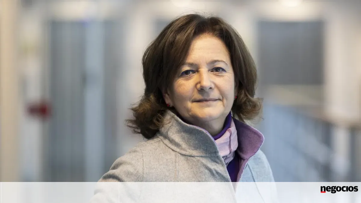 Fernanda Paula Oliveira: “Criminalizar condutas urbanísticas