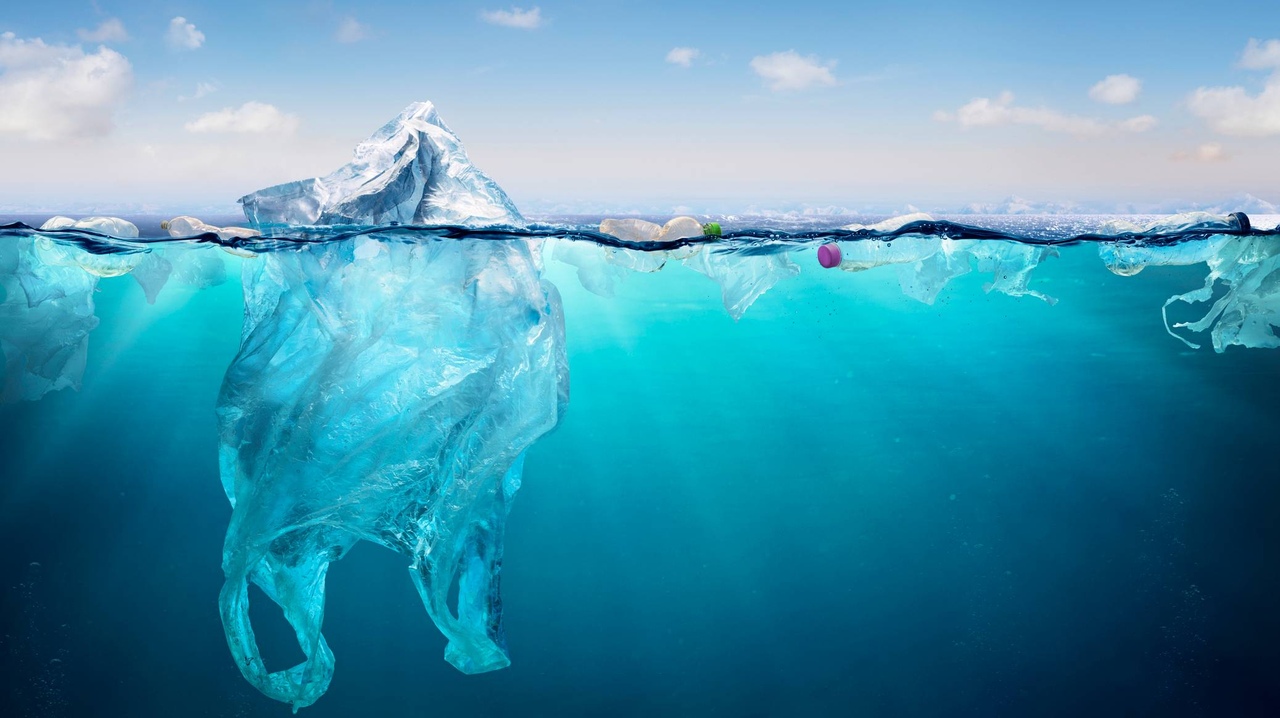 Investigadores Desenvolvem Plásticos de Origem Vegetal,...