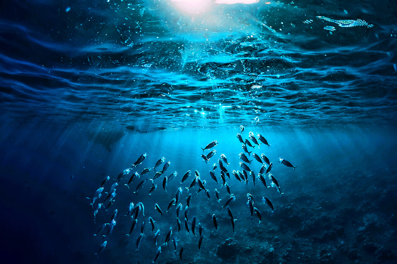 Itália Disponibiliza 3,5 M€ Para Apoiar Desenvolvimento Dos