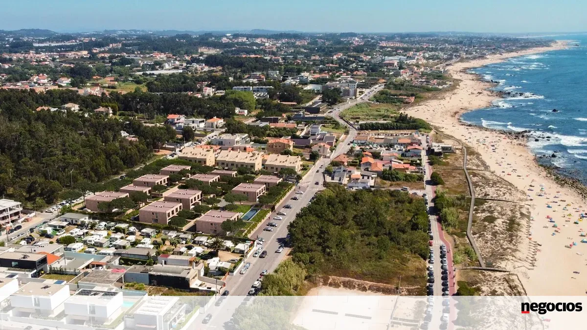 M2O da dupla Oliveira investe 25 milhões em Gaia -