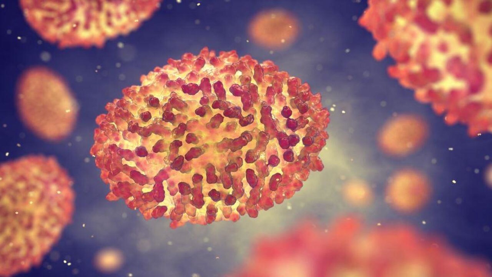 O Que é, Quais os Sintomas e Como se Transmite? • Diário...