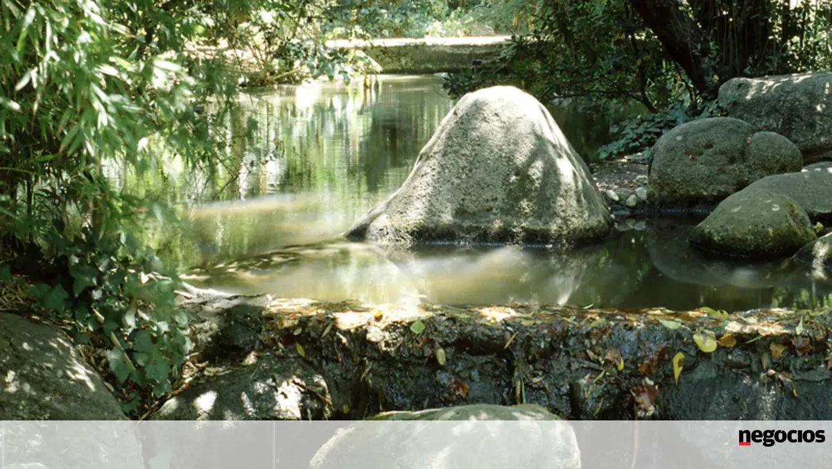 Projeto científico quer colocar a natureza no centro do