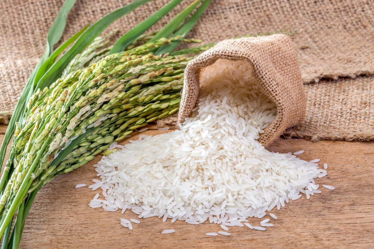 Restrições à Importação de Arroz e Trigo Preocupam o Sector
