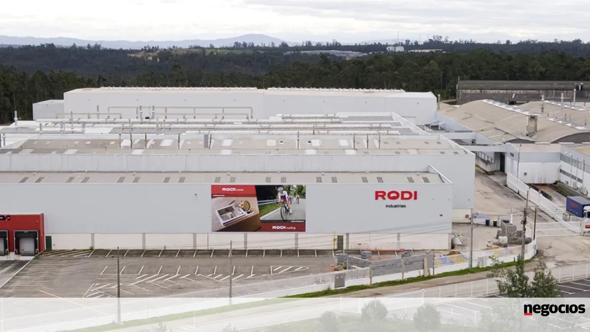 Rodi de Aveiro com 350 trabalhadores funde duas aquisições -