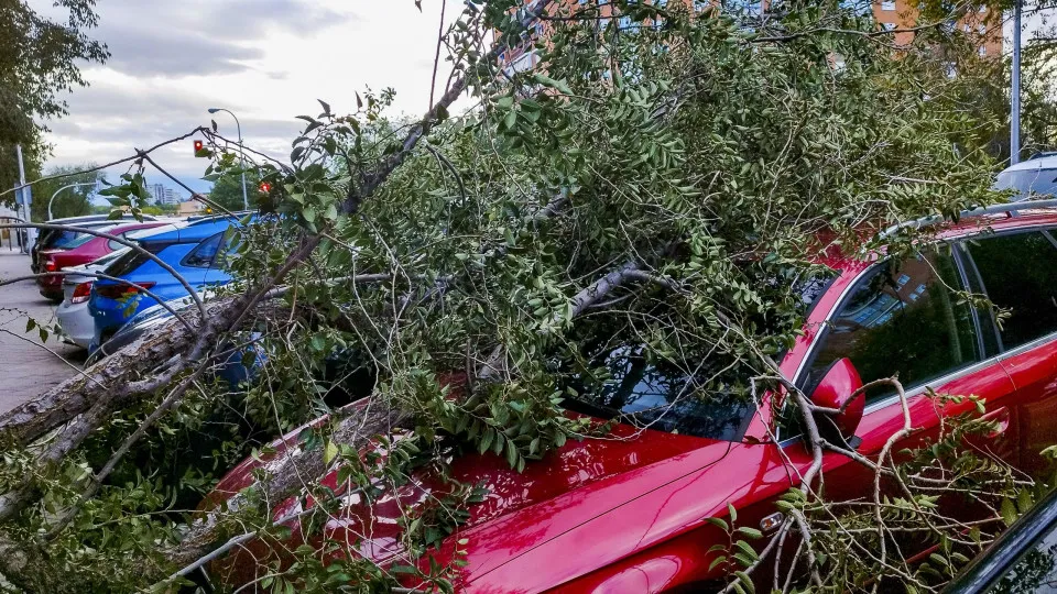 Crédito à habitação: Vale a pena pedir moratória por causa