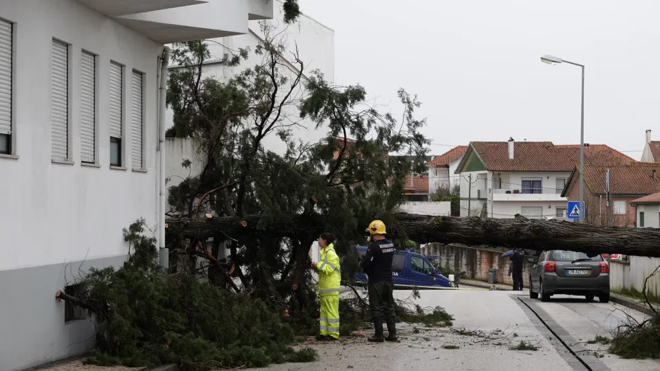 Núcleo Empresarial de Portalegre arranca com levantamento