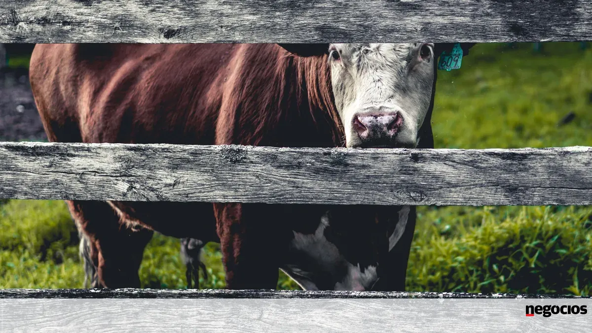 Aquecimento global está a ameaçar metade das áreas de