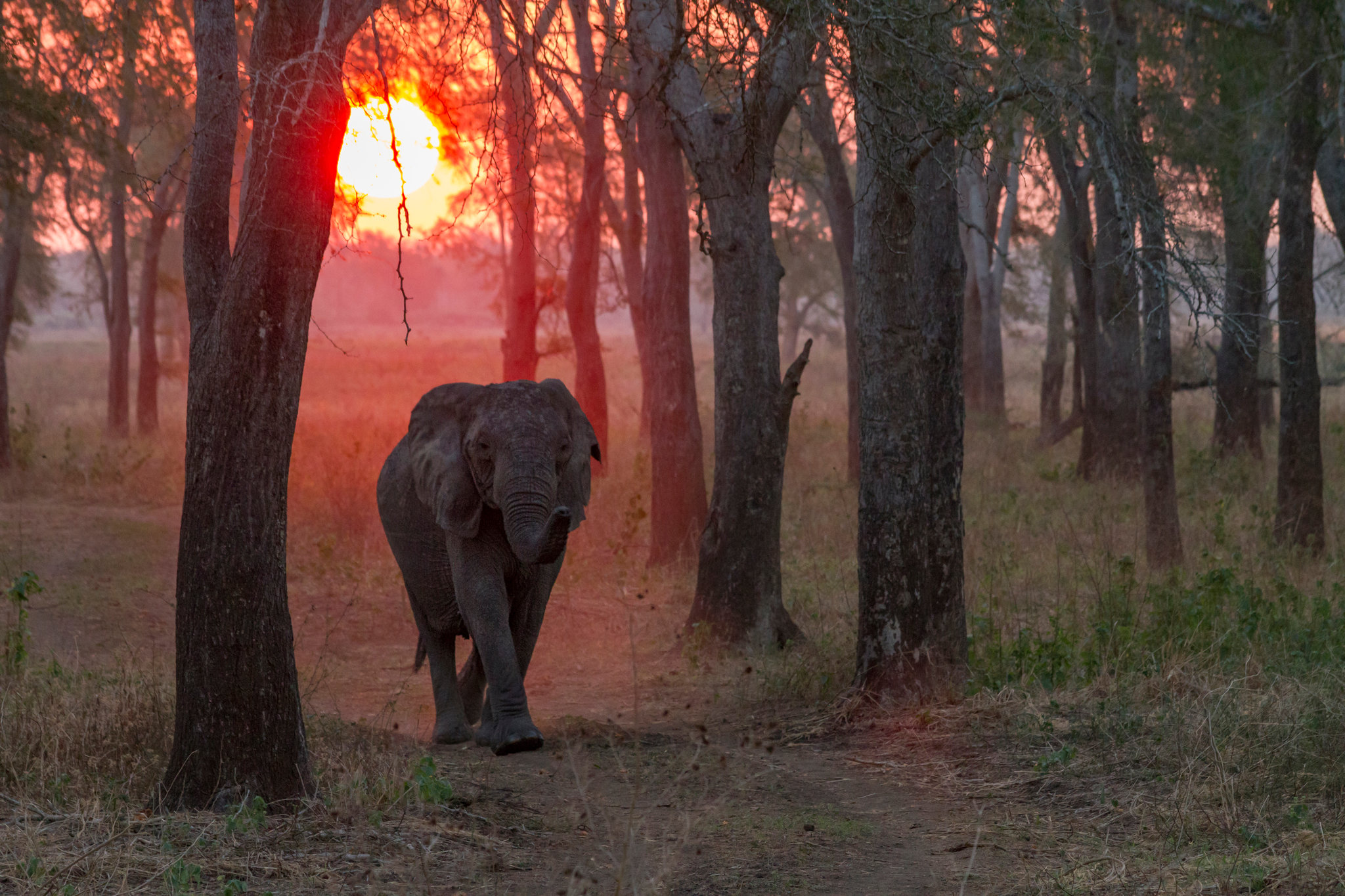BIOFUND Introduz Ferramenta Para Medir Efeitos Ambientais no...