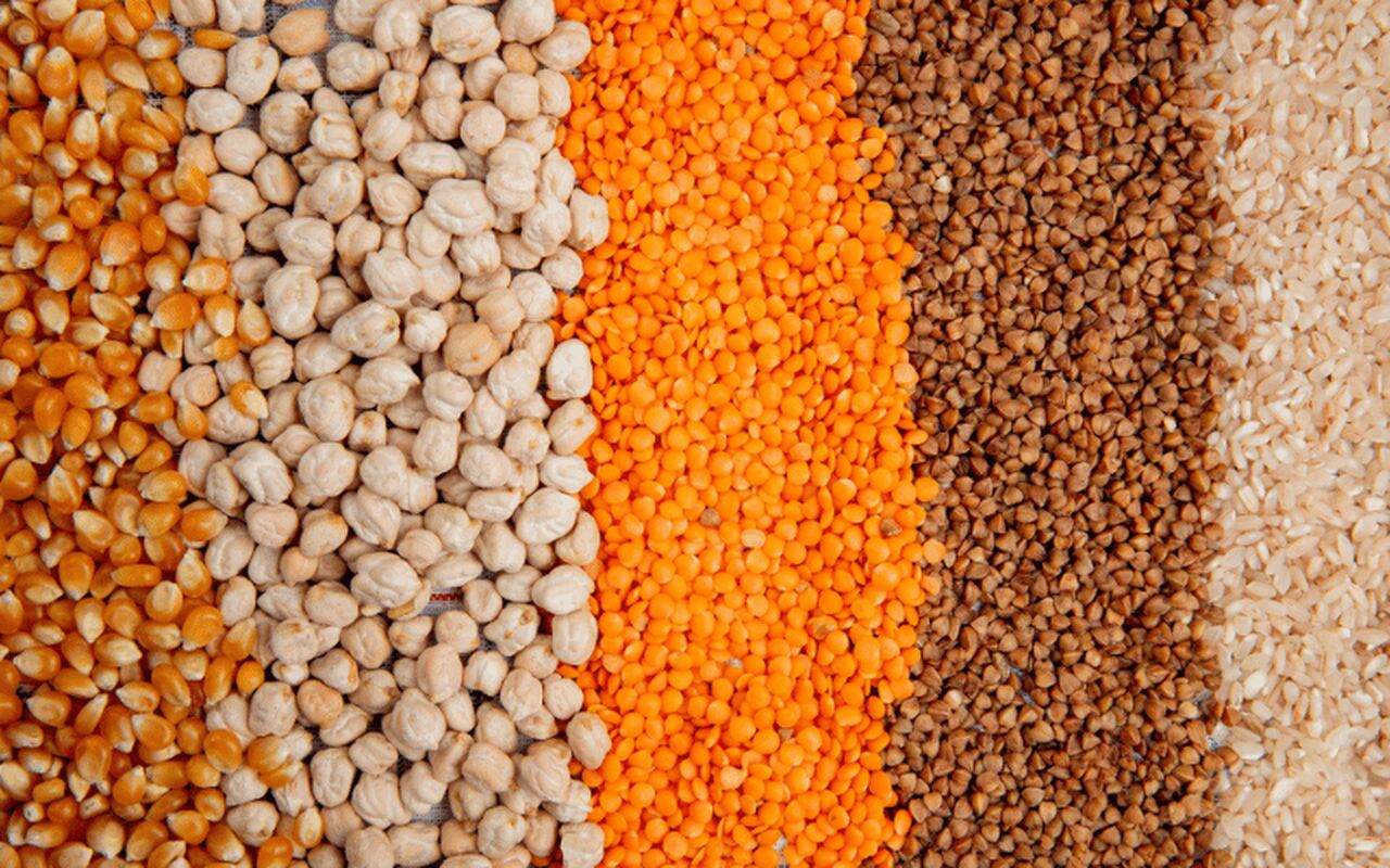 Governo Desembolsou Quase 32 M$ Para Importação de Sementes…