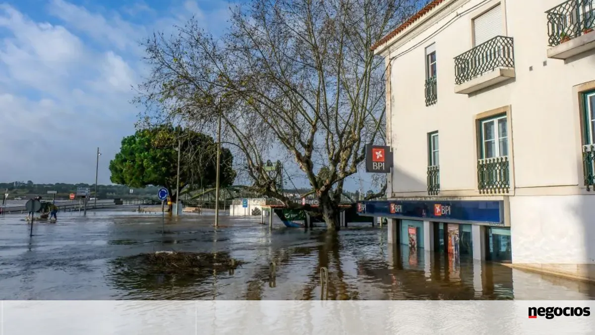 "Não temos mesmo condições". Alcácer do Sal adia eleições