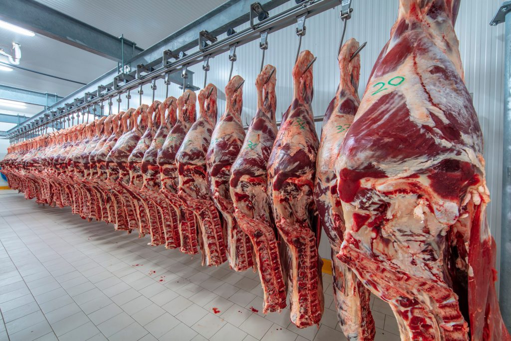 Produção de Carne Aumentou Mais de 11% em 2025 • Diário