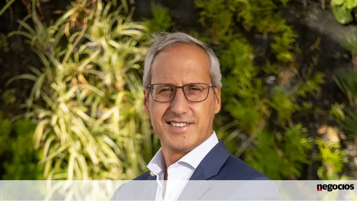 Treze empresas lançam associação para criar "ecossistema" em