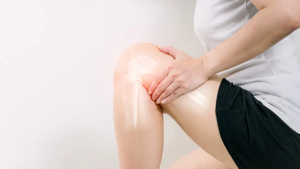 Universidade de Aveiro desenvolve substitutos ósseos com...